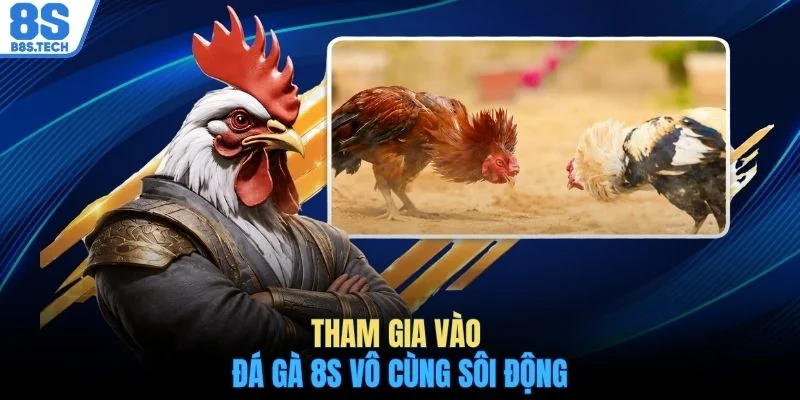 Đá gà 8S 1 Tham gia vào đá gà 8S vô cùng sôi động